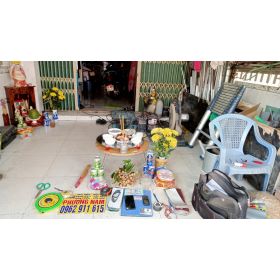 Mái che phương nam khai xuân Giáp Thìn