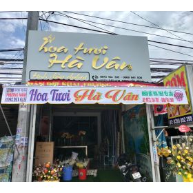 Mái hiên tay quay - Mái che mưa nắng cửa hàng bán hoa tươi tại Tân Uyên Bình Dương